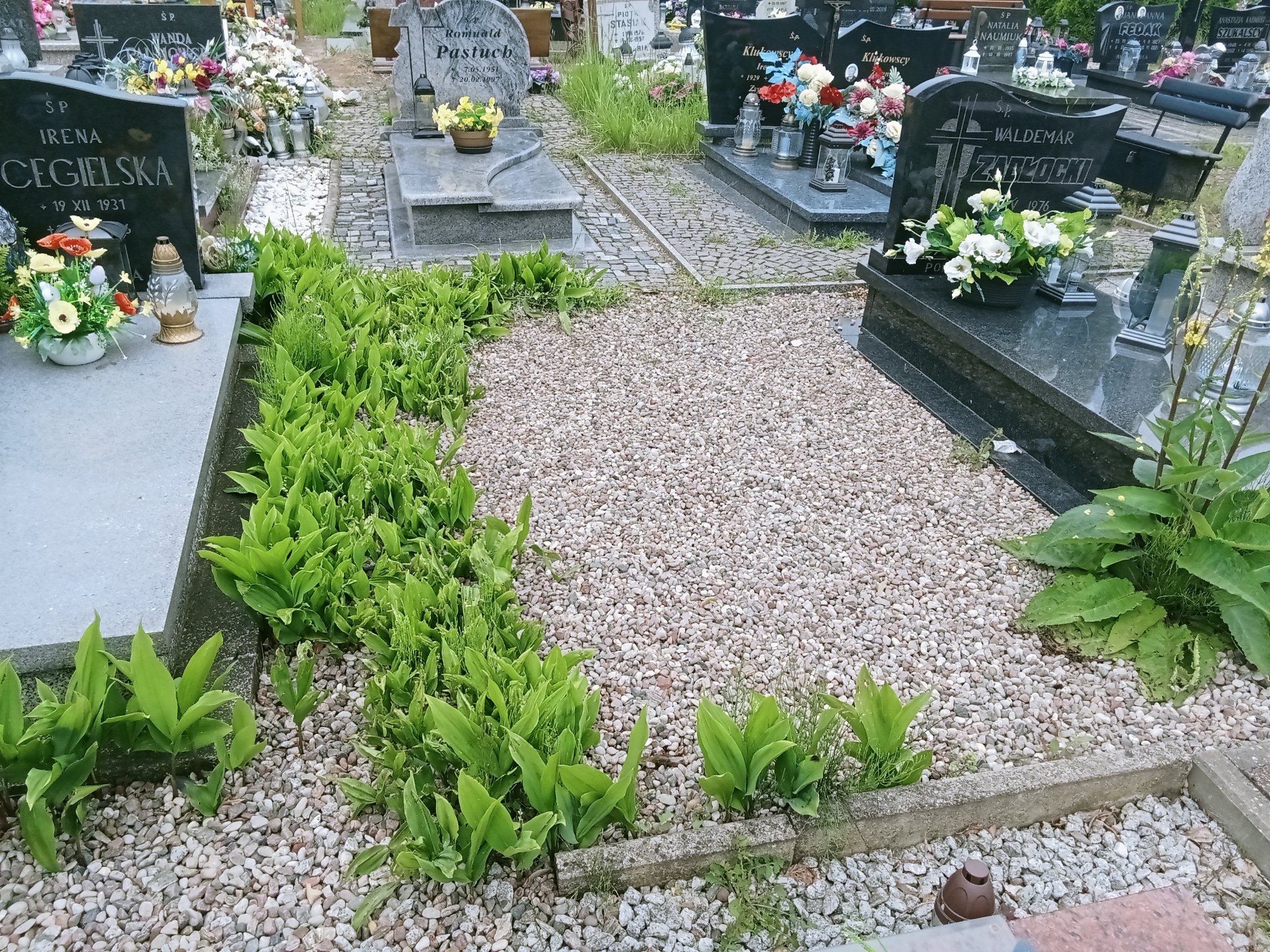 Grób Józef Kosakiewicz